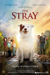 The Stray (2017) HD 1080p Latino